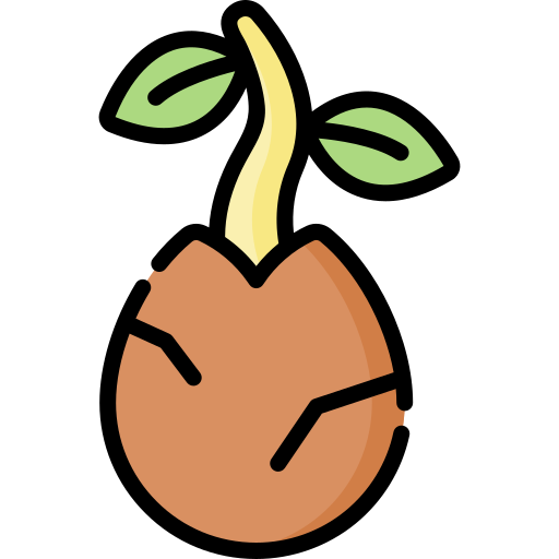 Lesson Image